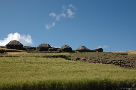 [huts].jpg]